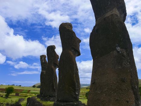 Statues of the gods of Easter Island. Ancient statues of ancient civilization on Easter Island.