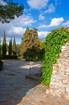 Part of the stone wall with ivy climbing up. Cypresses and other trees in background. Sunny day in Italica, Seville, Spain