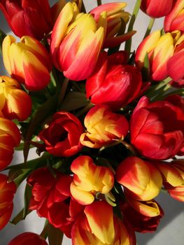 Bouquet of red and yellow tulips, top view