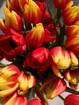 Big bouquet of red and yellow tulips, top view, macro