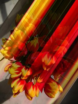 Big bouquet of red and yellow tulips, motion effect and top view
