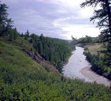 River in the taiga in northern Russia. The nature of the taiga in a mountainous area.