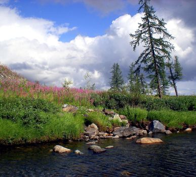 River in the taiga in northern Russia. The nature of the taiga in a mountainous area.