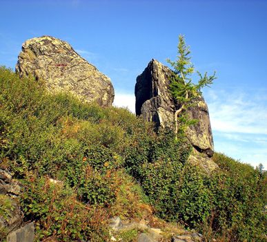 Rocks in the taiga in the Russian north. Exit to the surface of granites and basalts.