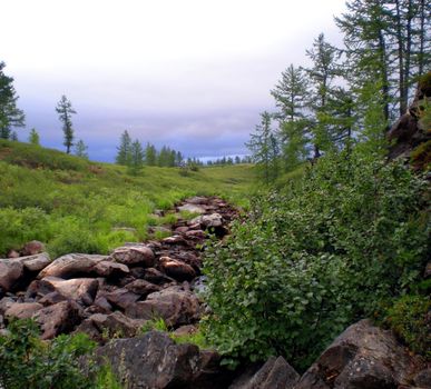 Rocks in the taiga in the Russian north. Exit to the surface of granites and basalts.