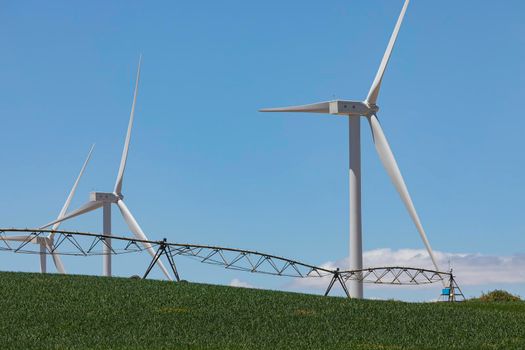 New wind turbines, recently installed in north of Spain, rotate with the wind over the corn fields, community of Aragon.