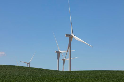 New wind turbines, recently installed in north of Spain, rotate with the wind over the corn fields in summer, community of Aragon.