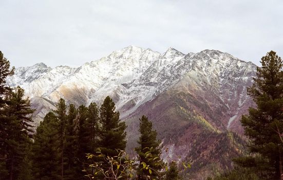 Mount Sayan in winter in the snow. The nature of the mountains is sayan.