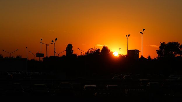 Fire sunset with backlit street light and trees