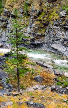 Mountain river. Stones and water of a mountain river. The mountains are said.