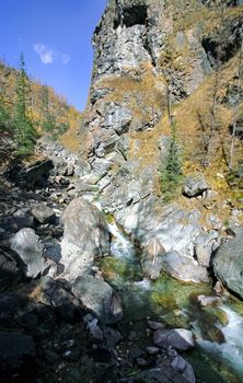 The mountains of the sayans. The nature of the mountains is sayan. Vegetation in the mountains