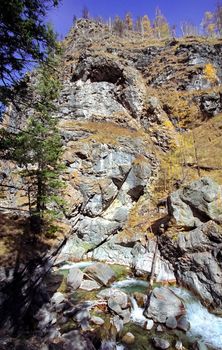 The mountains of the sayans. The nature of the mountains is sayan. Vegetation in the mountains