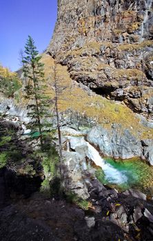 The mountains of the sayans. The nature of the mountains is sayan. Vegetation in the mountains