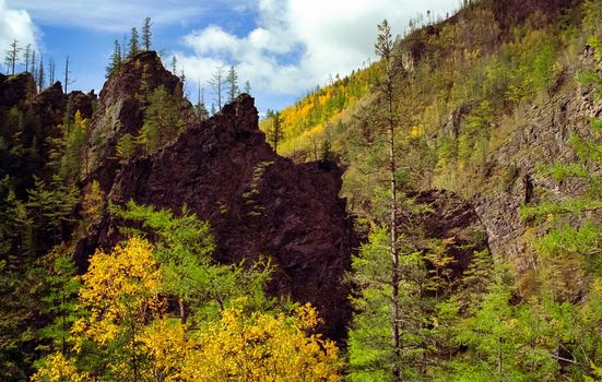 The mountains of the sayans. The nature of the mountains is sayan. Vegetation in the mountains