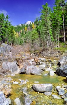 The mountains of the sayans. The nature of the mountains is sayan. Vegetation in the mountains