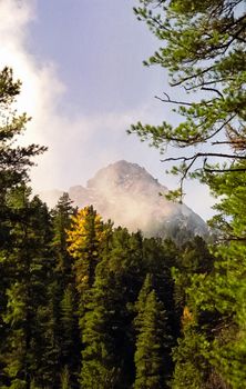 The mountains of the sayans. The nature of the mountains is sayan. Vegetation in the mountains