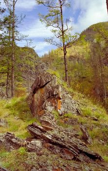 The mountains of the sayans. The nature of the mountains is sayan. Vegetation in the mountains