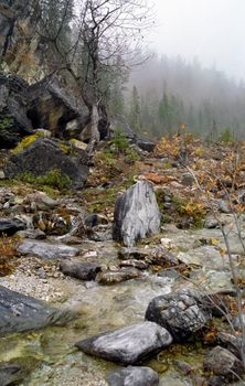 The mountains of the sayans. The nature of the mountains is sayan. Vegetation in the mountains