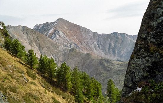 The mountains of the sayans. The nature of the mountains is sayan. Vegetation in the mountains