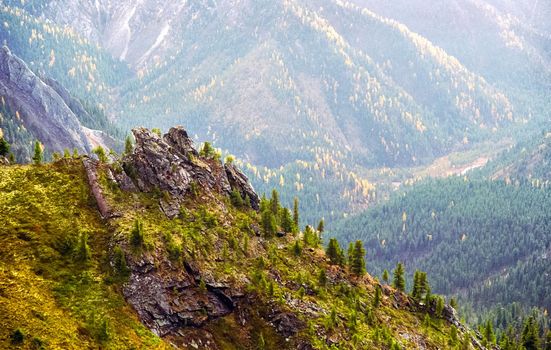 The mountains of the sayans. The nature of the mountains is sayan. Vegetation in the mountains