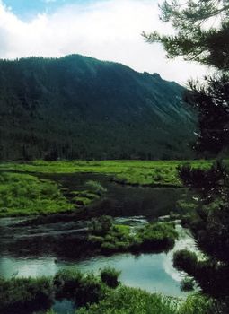 The mountains of the sayans. The nature of the mountains is sayan. Vegetation in the mountains