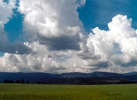 The mountains of the sayans. The nature of the mountains is sayan. Vegetation in the mountains