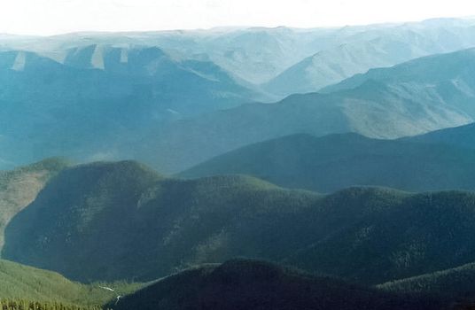 The mountains of the sayans. The nature of the mountains is sayan. Vegetation in the mountains