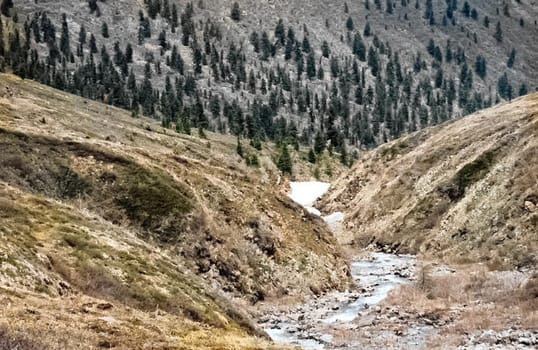 The mountains of the sayans. The nature of the mountains is sayan. Vegetation in the mountains