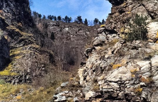 The mountains of the sayans. The nature of the mountains is sayan. Vegetation in the mountains