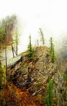 The mountains of the sayans. The nature of the mountains is sayan. Vegetation in the mountains