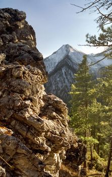 The mountains of the sayans. The nature of the mountains is sayan. Vegetation in the mountains