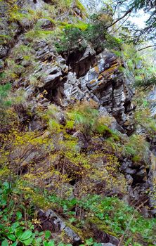 Nature in the mountains of Sayana. Russian taiga nature.