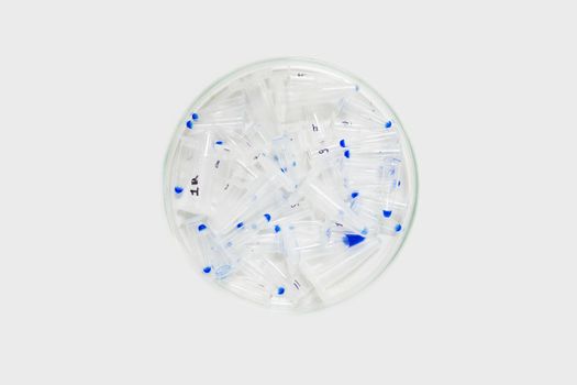 Petri dish with eppendorfami and DNA. Previously used DNA sample. A bowl of Petra on a white background.