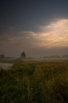 Dawn over the shore of the pond. Morning rays of the sun over the pond.