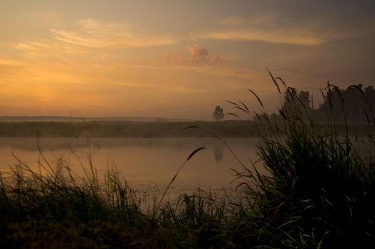 Lake at sunset, coastal grass and trees. The light of the sunset above the water.