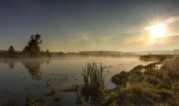 Lake at sunset, coastal grass and trees. The light of the sunset above the water.