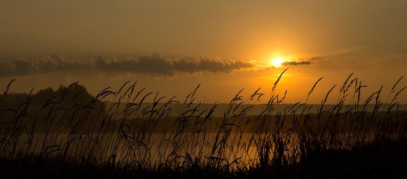 Lake at sunset, coastal grass and trees. The light of the sunset above the water.