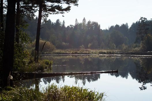 Lakes in the autumn forest. Forest autumn landscape, beautiful nature.