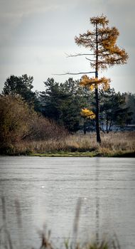 Lakes in the autumn forest. Forest autumn landscape, beautiful nature.