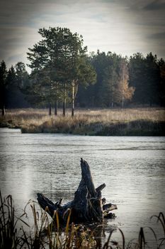 Lakes in the autumn forest. Forest autumn landscape, beautiful nature.