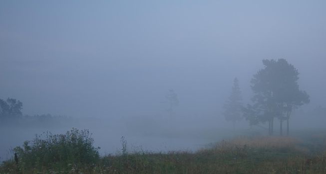 Smoke of mist over the pond. morning mist over the pond.