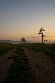 Sunset in the background of the road and fields with grass and trees.