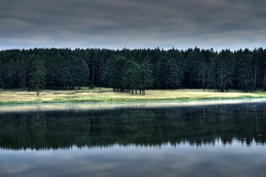 Water near the forest. Reflecting trees in the water.