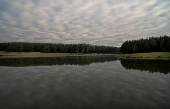 Water near the forest. Reflecting trees in the water.