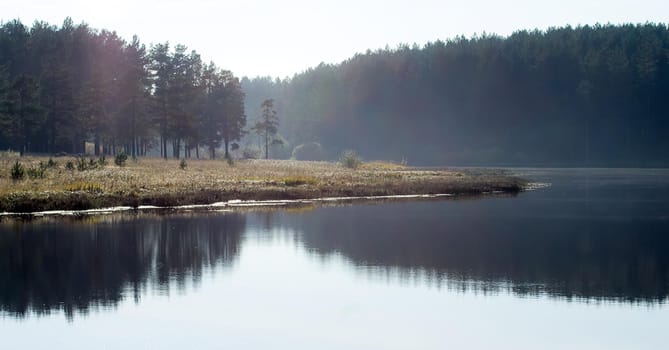 Water near the forest. Reflecting trees in the water.