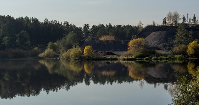 Water near the forest. Reflecting trees in the water.