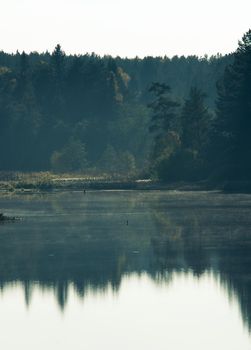 Water near the forest. Reflecting trees in the water.