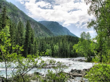 Nature is altai. Mountain landscape, forests and reservoirs of the altai.