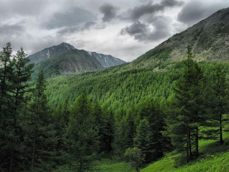 Nature is altai. Mountain landscape, forests and reservoirs of the altai.