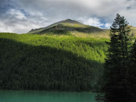 Nature is altai. Mountain landscape, forests and reservoirs of the altai.